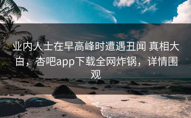 业内人士在早高峰时遭遇丑闻 真相大白,杏吧app下载全网炸锅,详情围观