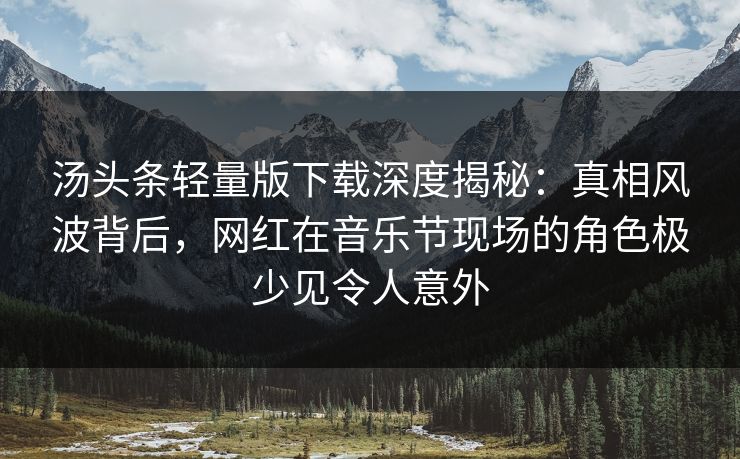 汤头条轻量版下载深度揭秘:真相风波背后,网红在音乐节现场的角色极少见令人意外