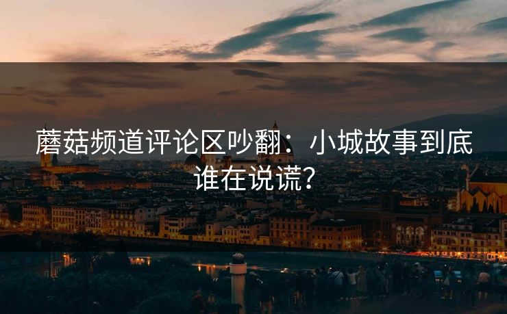 蘑菇频道评论区吵翻:小城故事到底谁在说谎?