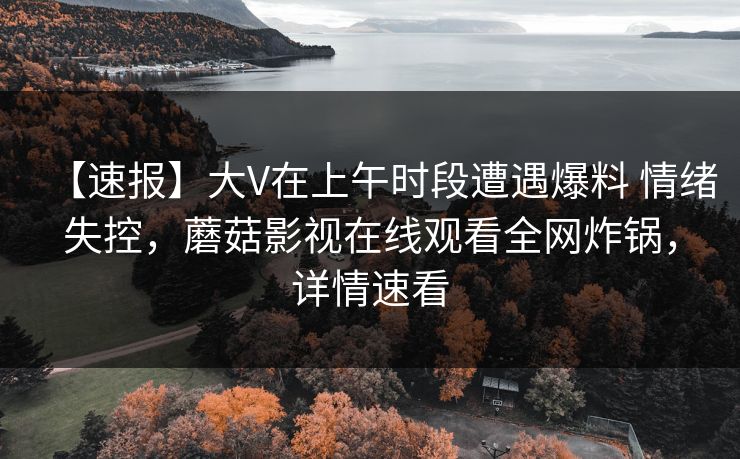 【速报】大V在上午时段遭遇爆料 情绪失控,蘑菇影视在线观看全网炸锅,详情速看