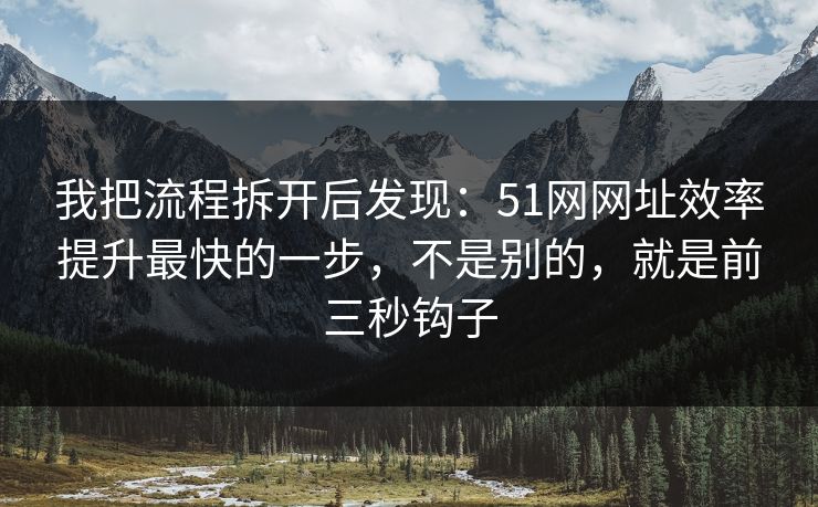 我把流程拆开后发现:51网网址效率提升最快的一步,不是别的,就是前三秒钩子