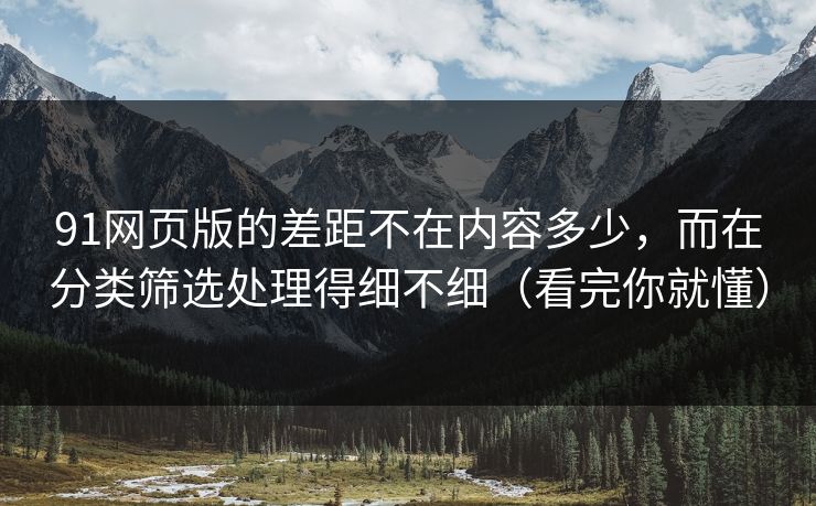 91网页版的差距不在内容多少，而在分类筛选处理得细不细（看完你就懂）